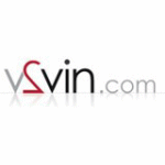 logo V2vin.com